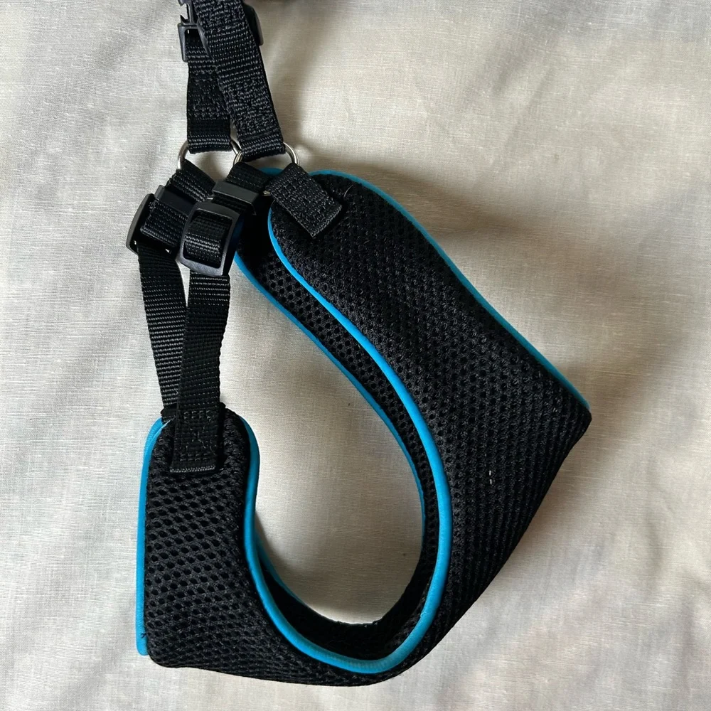 Dog Harness and leash Sz S soft clips on the shoulders 1/2 inch wide web leash